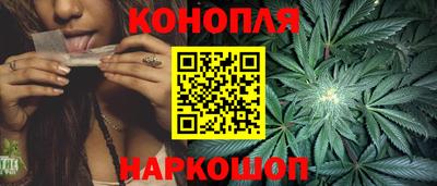 СК Новоалтайск