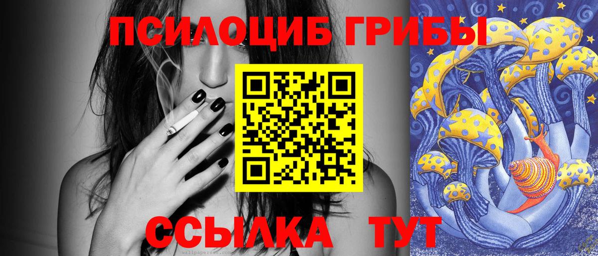 Галлюциногенные грибы Cubensis Надым