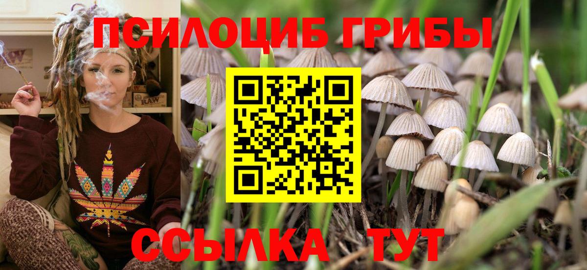 купить закладку  Галлюциногенные грибы ЛСД  Вход с VPN  Надым 